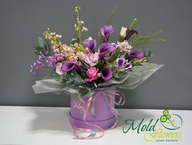 Purple Lily Box photo
